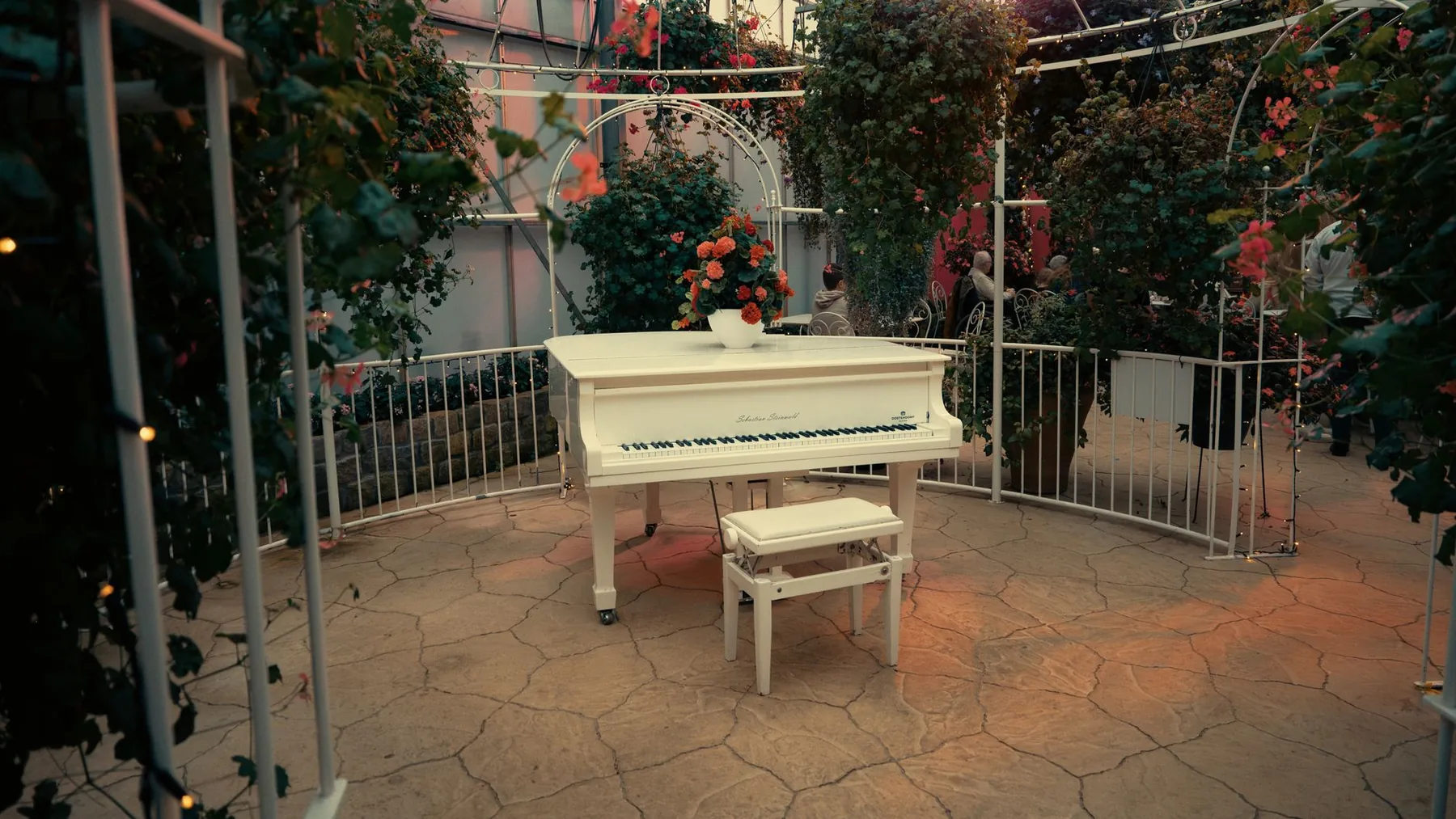 Piano à queue blanc dans une serre Piano à queue blanc dans une serre