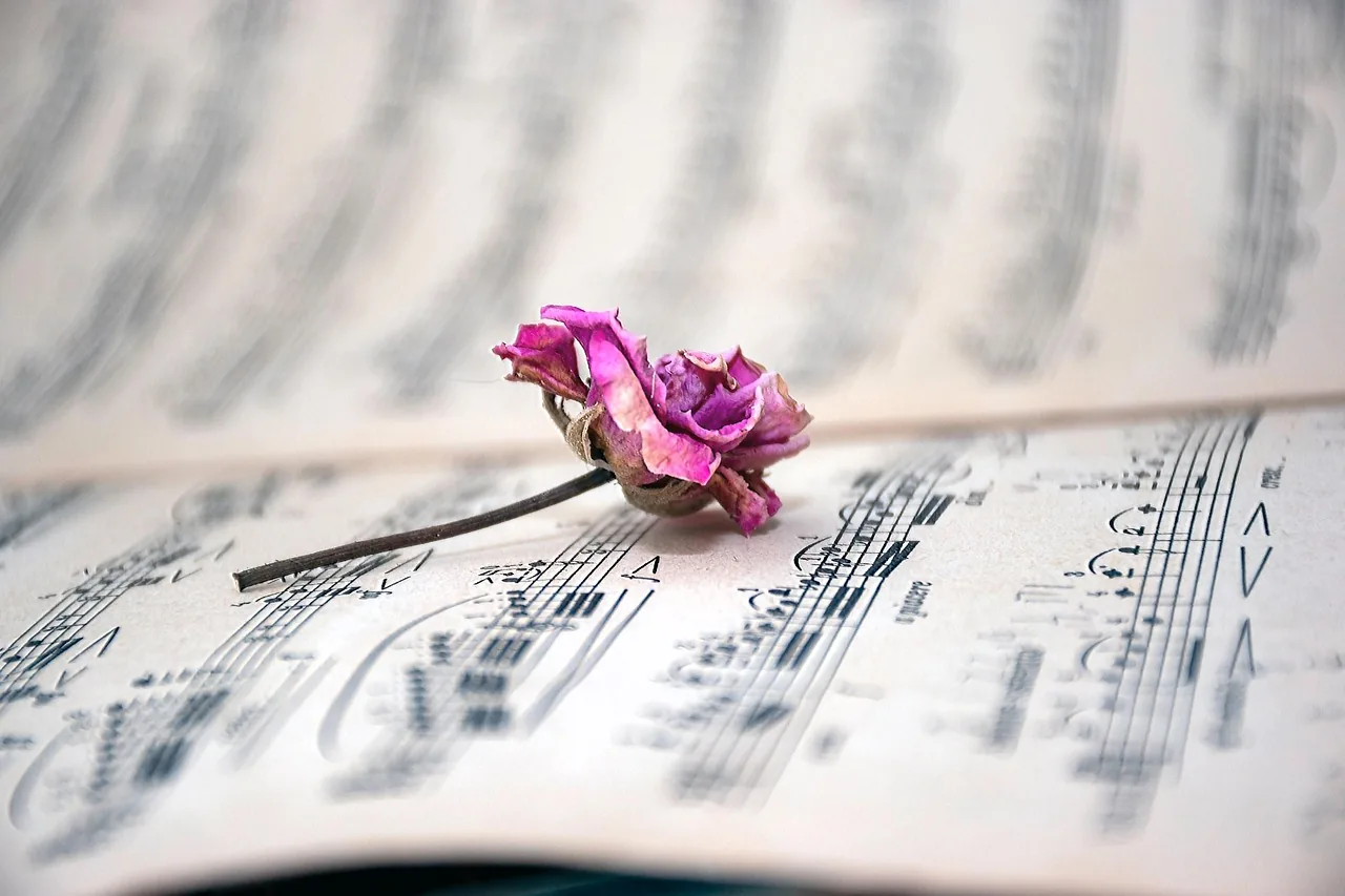 Dried rose on piano sheet music Dried rose on piano sheet music