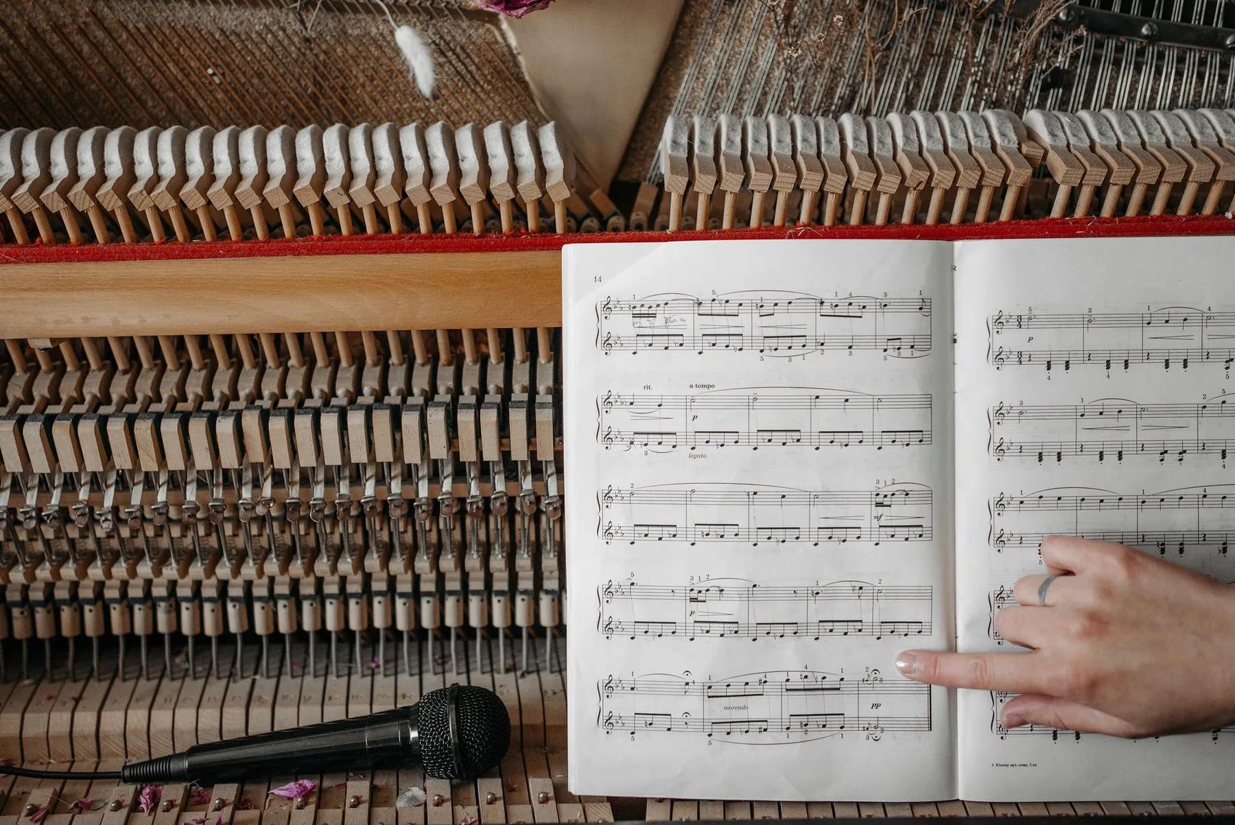 Guided reading of piano sheet music Guided reading of piano sheet music