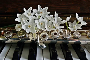 Legendary Pianists and Their Contributions to Classical Music