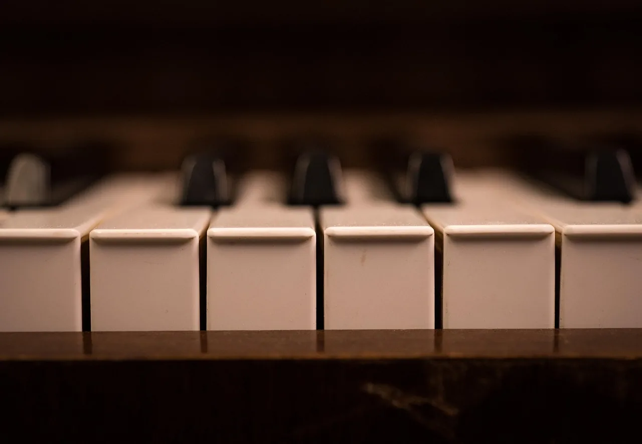 Close-up of piano keys Close-up of piano keys