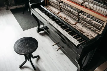 Pourquoi opter pour un piano Yamaha portable NP-12