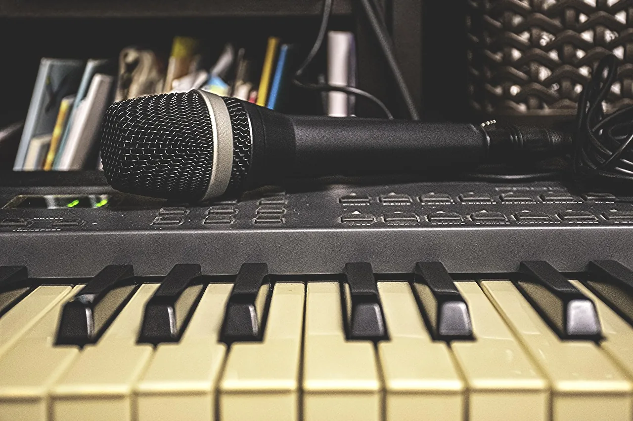Digital keyboard and studio microphone