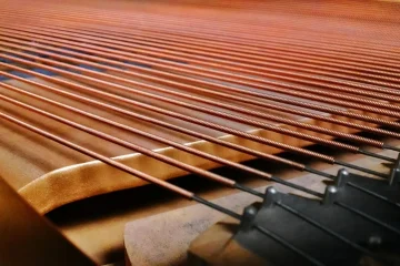 Professional digital piano: how to choose the right one
